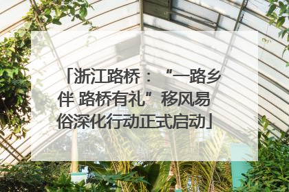 浙江路桥：“一路乡伴 路桥有礼”移风易俗深化行动正式启动